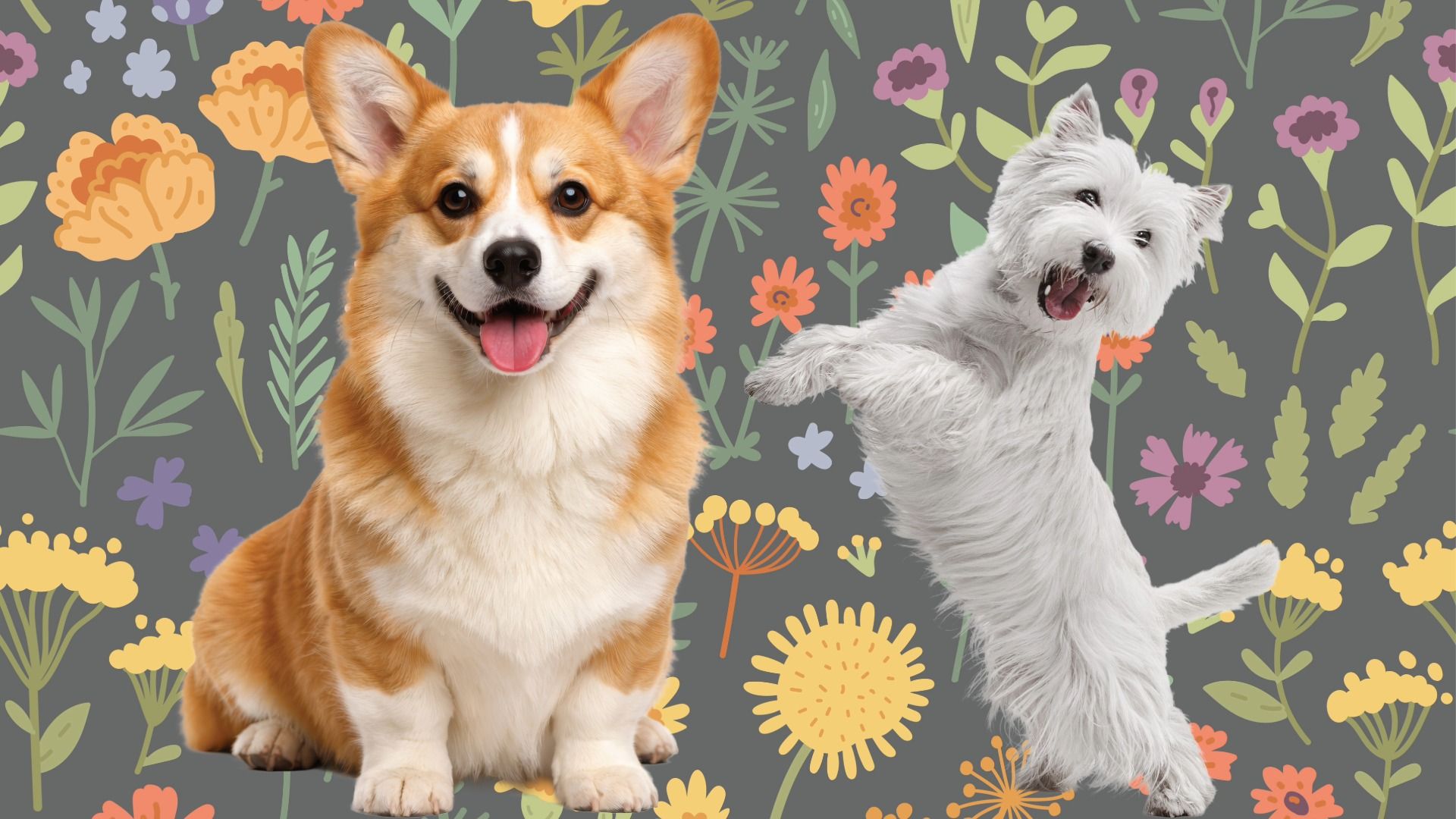 BOSS Dog Cafe & Botanical Gardens