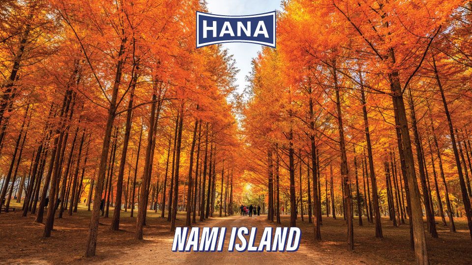 Nami Island & Petite France Tour